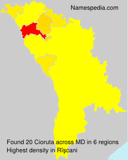 Cioruta Cioruta