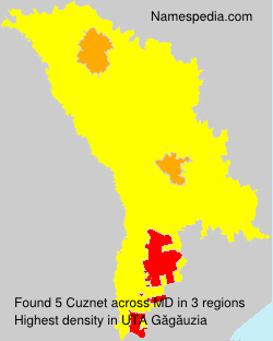 Cuznet Cuznet