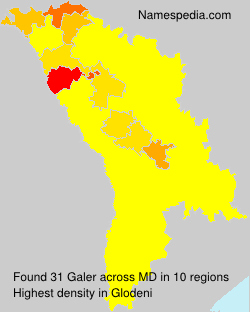 Galer Galer
