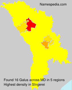 Galus Galus