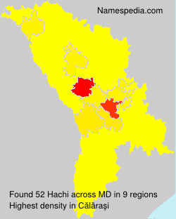 Hachi Hachi