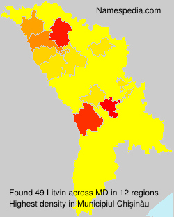 Litvin Litvin
