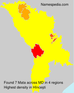 Mata Mata