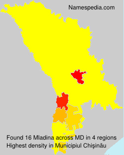 Surname Mladina in Moldova