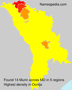 Murin Murin