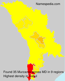 Murzacov Murzacov