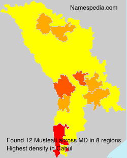 Musteati Musteati