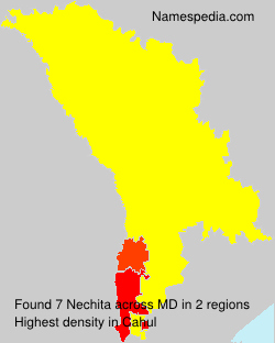 Nechita Nechita