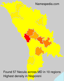 Necula Necula
