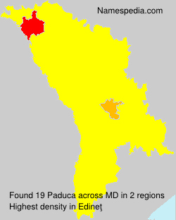 Surname Paduca in Moldova Surname Paduca in Moldova