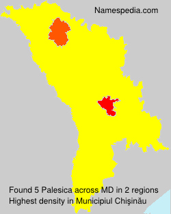 Palesica Palesica
