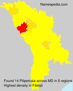 Surname Pilipetcaia in Moldova Surname Pilipetcaia in Moldova