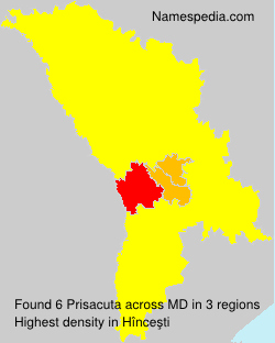 Prisacuta Prisacuta