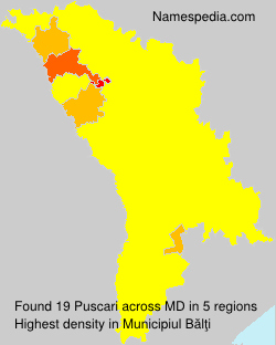 Surname Puscari in Moldova Surname Puscari in Moldova
