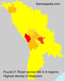 Roset Roset