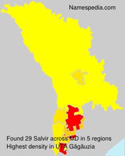 Surname Salvir in Moldova Surname Salvir in Moldova