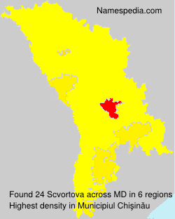 Scvortova Scvortova