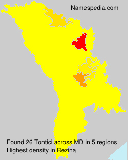Tontici Tontici