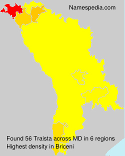 Traista Traista