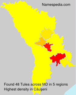 Surname Tulea in Moldova Surname Tulea in Moldova