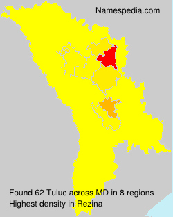 Surname Tuluc in Moldova Surname Tuluc in Moldova