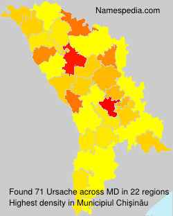 Ursache Ursache