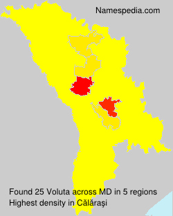 Voluta Voluta