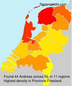 Andreae Andreae