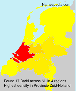Badri Badri