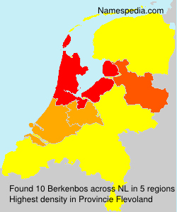 Berkenbos Berkenbos