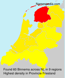 Binnema Binnema