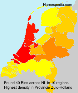 Bins Bins