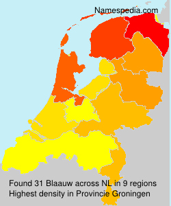 Surname Blaauw in Netherlands