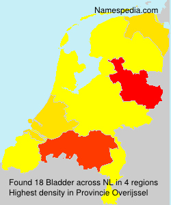 Surname Bladder in Netherlands Surname Bladder in Netherlands