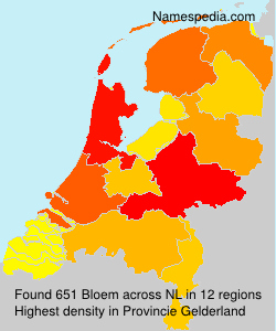 Bloem Bloem