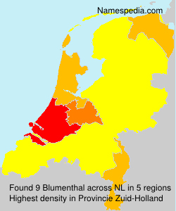 Surname Blumenthal in Netherlands Surname Blumenthal in Netherlands