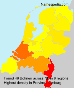 Bohnen - Netherlands