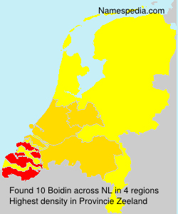 Boidin Boidin