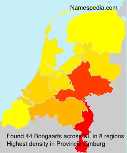 Surname Bongaarts in Netherlands Surname Bongaarts in Netherlands