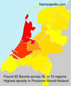 Booms Booms