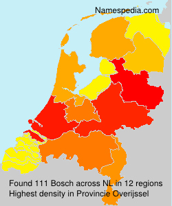 Surname Bosch in Netherlands Surname Bosch in Netherlands