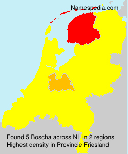 Boscha Boscha