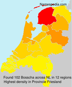 Surname Bosscha in Netherlands Surname Bosscha in Netherlands