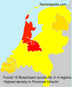 Surname Bosschaert in Netherlands Surname Bosschaert in Netherlands