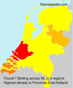 Surname Botting in Netherlands Surname Botting in Netherlands