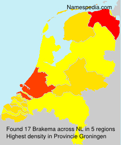 Surname Brakema in Netherlands Surname Brakema in Netherlands