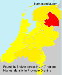 Surname Brakke in Netherlands Surname Brakke in Netherlands