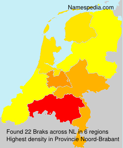 Braks Braks