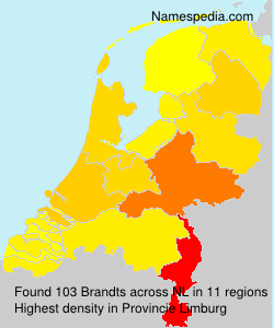 Brandts Brandts