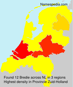 Surname Bredie in Netherlands Surname Bredie in Netherlands